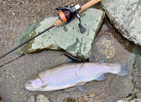 大物大漁となるはずが… ～天竜川ルアーフライ専用区～